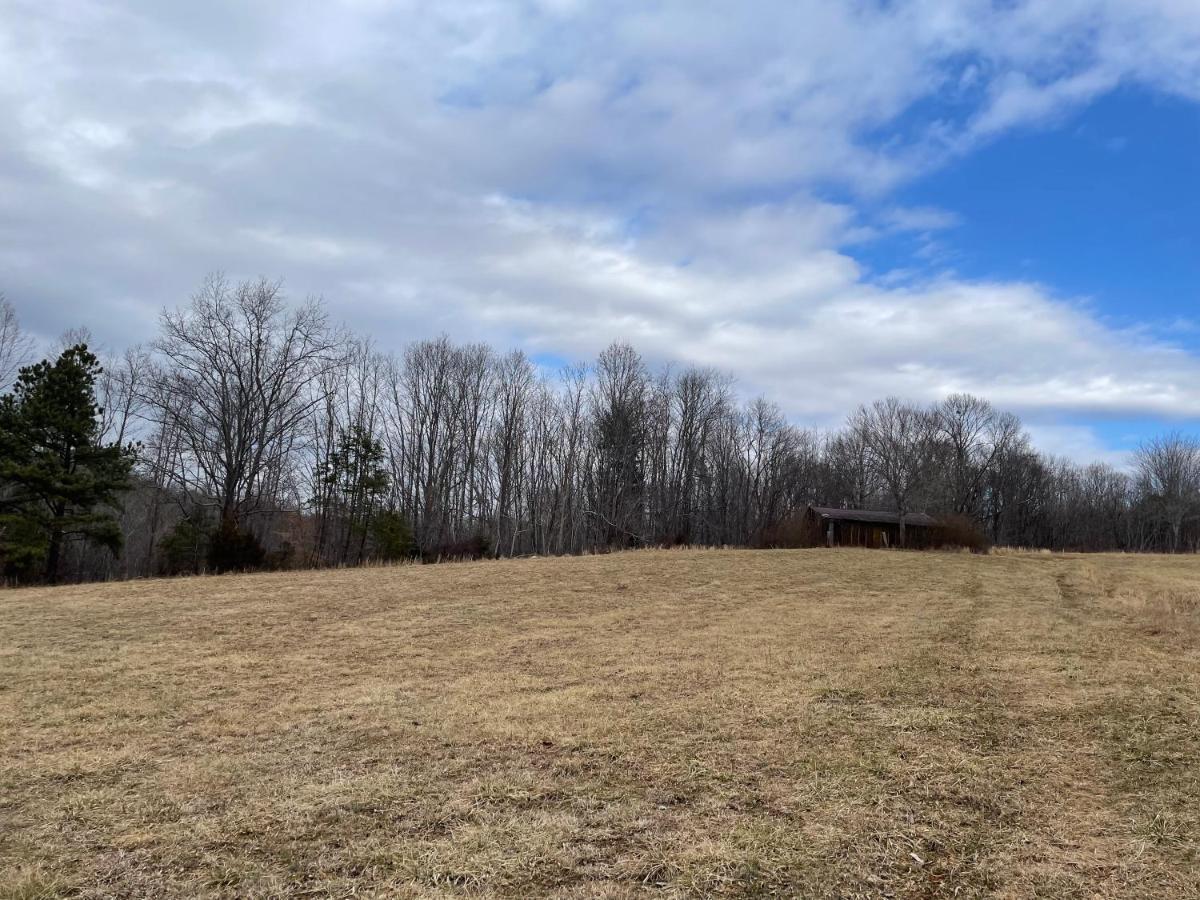 Giggling Creek Cottage - Bedjet! King Sized! Gazebo, 45 Acres, Arcades, Nintendo, More Henry Zewnętrze zdjęcie